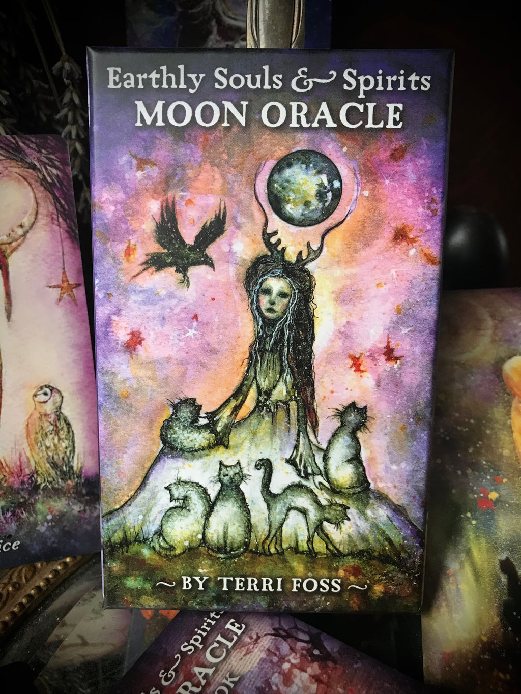 Earthly Souls and Spirits Moon Oracle Deck - Guide Booklet Published - US Games Systems - Terri Ann Foss