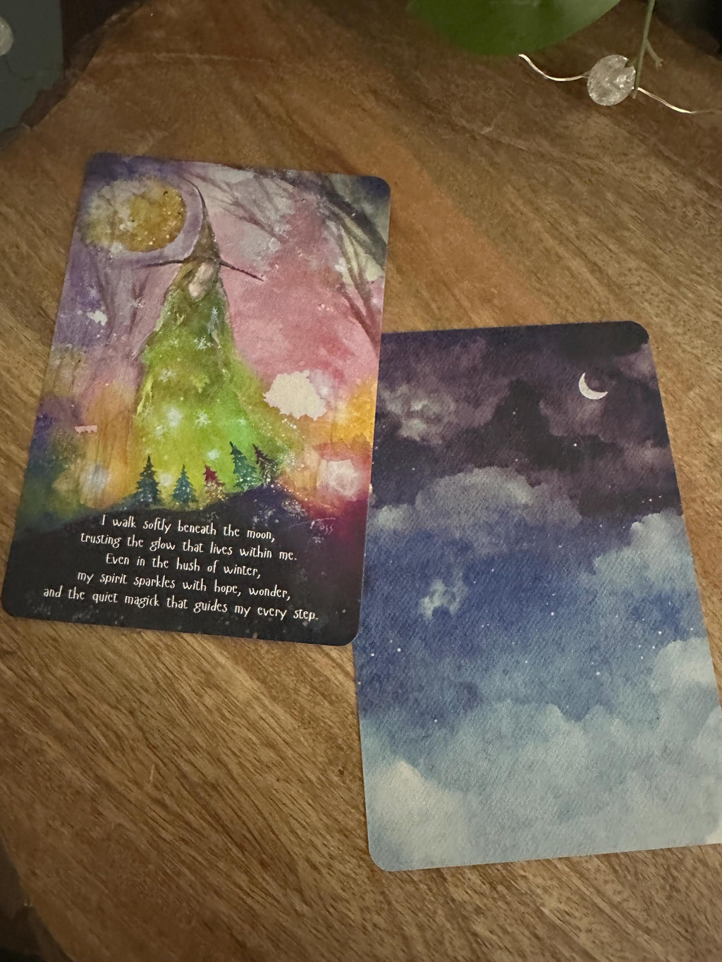 January '26 Single Affirmation Card - Witch Moon - Terri Ann Foss
