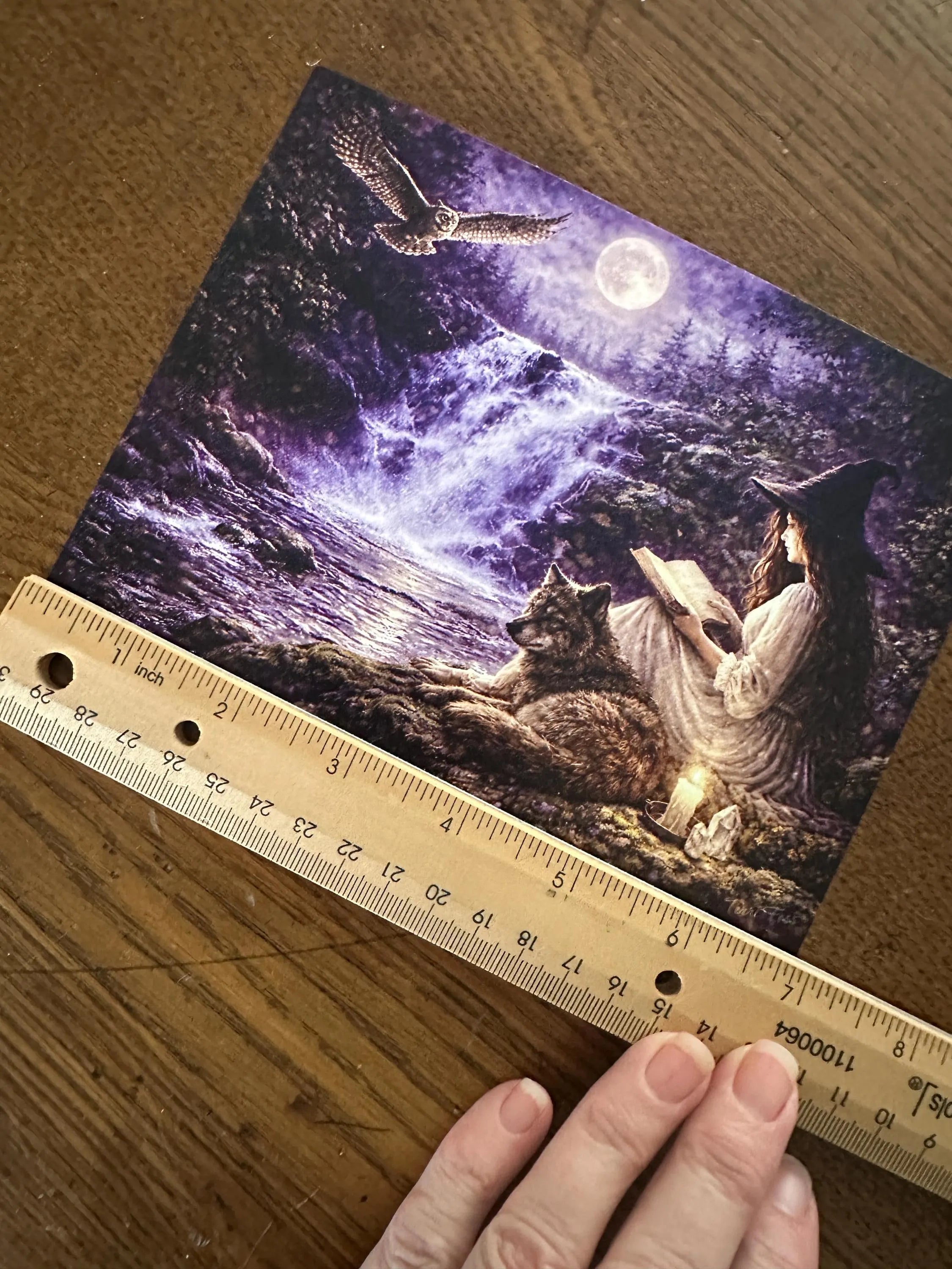 Witch's Wisdom – Witch Owl Moon - Signed Art Print - Terri Ann Foss